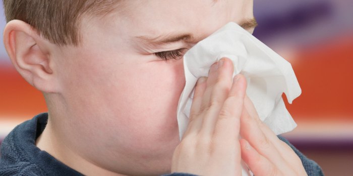 Childrens Seasonal Allergy Treatments