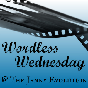 Weekly Wordless Wednesday Linky Party at Mommy Evolution