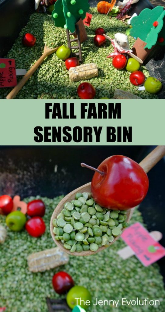 Fall Farm Sensory Bin for Preschool and Toddlers | Mommy Evolution