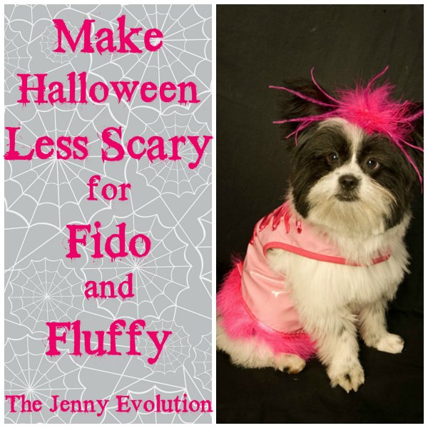 How to Make Halloween Less Scary for Pets