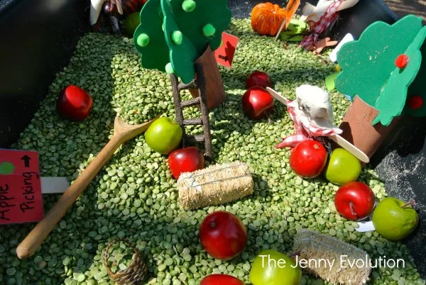 Fall Farm Sensory Bin