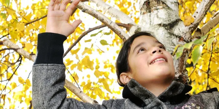 8 Fall Sensory Activities at Your Fingertips