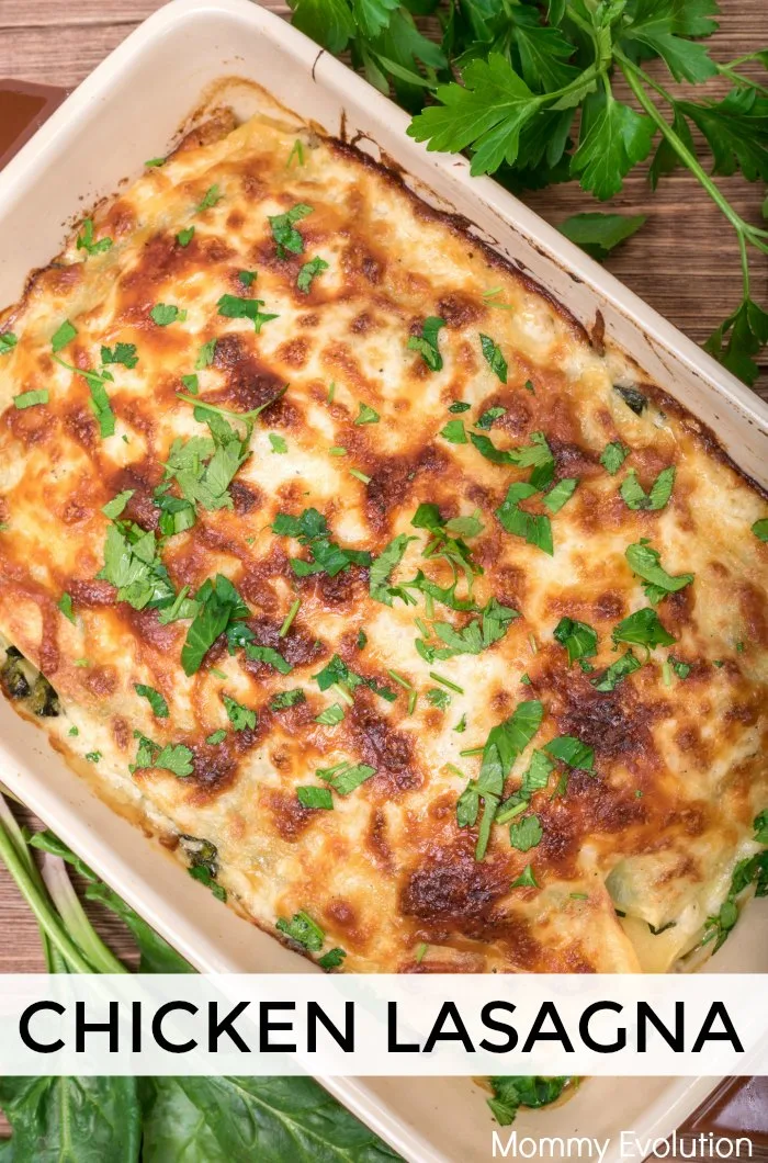 Image for Creamy Chicken Lasagna Recipe