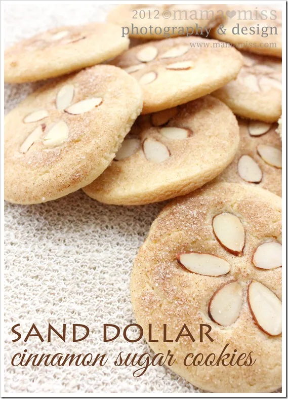 Image for Sand Dollar Cinnamon Sugar Cookies