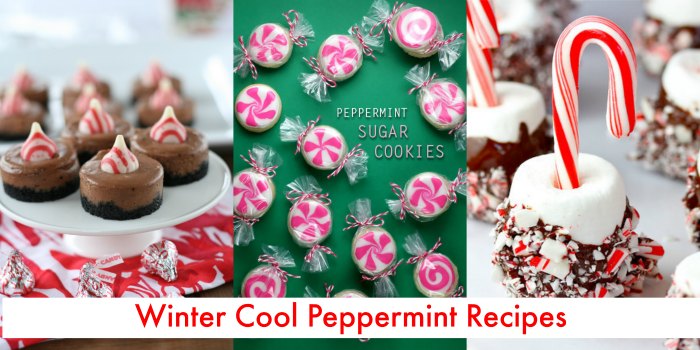 20+ Christmas Cookies with Winter Cool Peppermint: Ultimate Holiday Cookie Round-Up