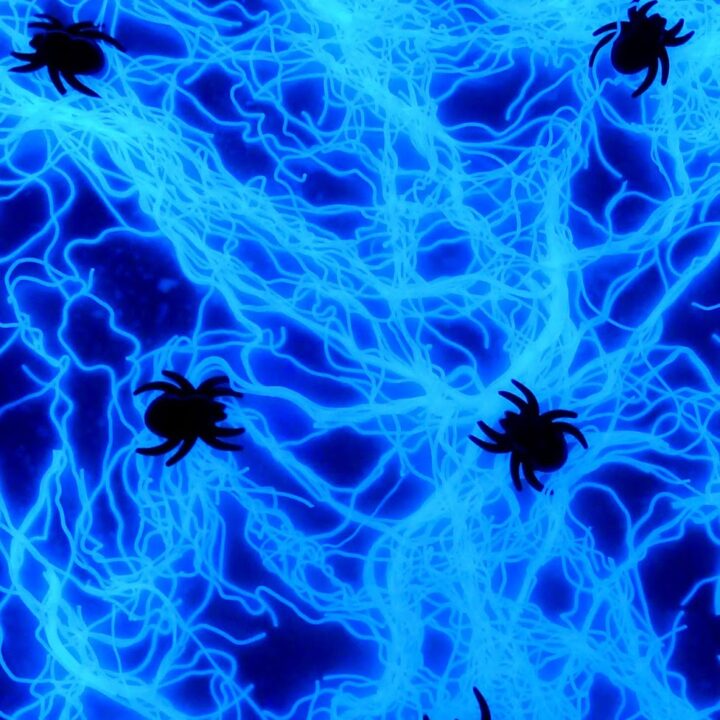 Image for Edible Glowing Spiderwebs Sensory Play