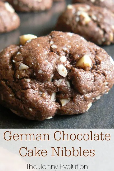 German Cake Chocolate Cookies Recipe | The Jenny Evolution