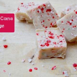 Candy Cane Fudge Recipe | The Jenny Evolution