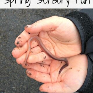 Outside Sensory Ideas: Springtime Sensory Fun with Worms | The Jenny Evolution