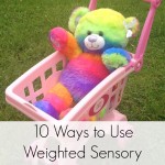 10 Ways to Use Weighted Sensory Stuffed Animals
