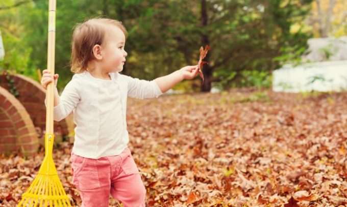 Fall Leaf Tree Craft - Mommy Evolution