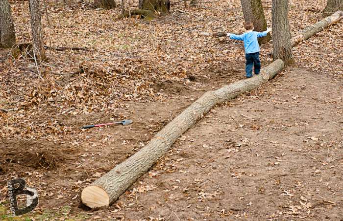 Fallen Log is the Perfect Balance Beam in Nature