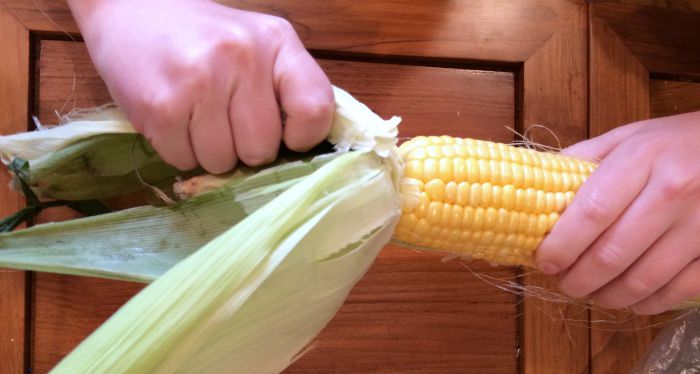 Corn Sensory Table: A Simple (but Complex) Sensory Activity