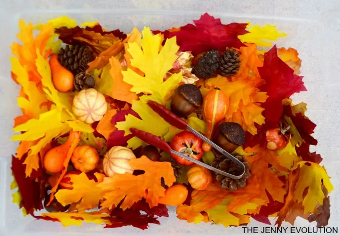 Fine Motor Fall Sensory Bin that Works Visual Skills, too! The Jenny Evolutoin