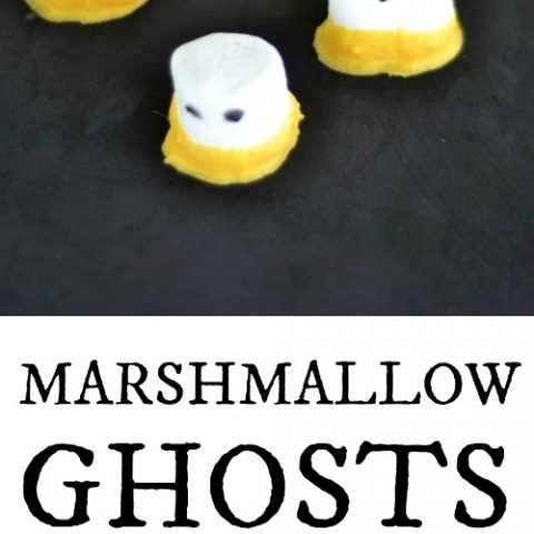 DIY Marshmallow Ghosts Treats Recipe | The Jenny Evolution