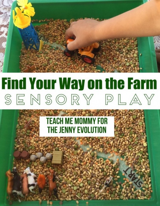 Find your way on the farm - sensory play