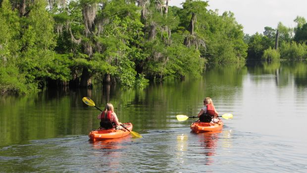 What Family Adventures Await in Gulf County, Florida