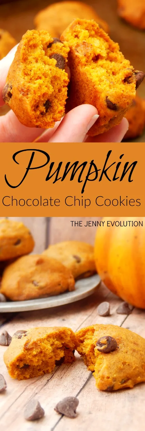 Image for Soft Pumpkin Chocolate Chip Cookies