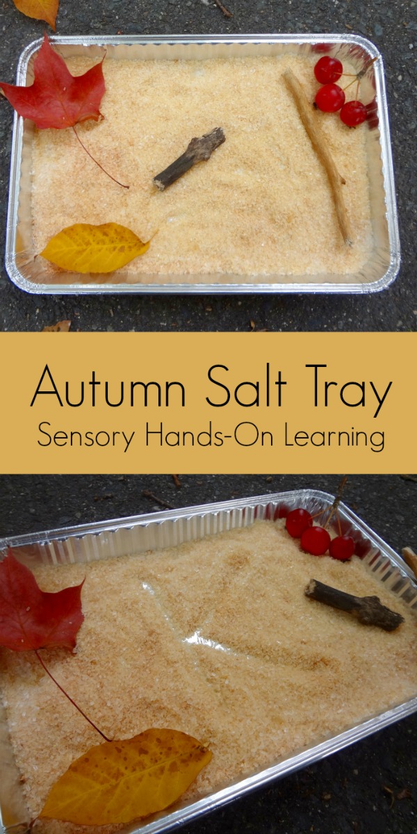 Autumn Salt Tray - Sensory Hands-On Learning | Mommy Evolution