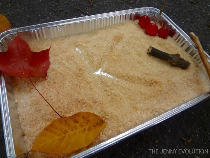 Autumn Salt Tray