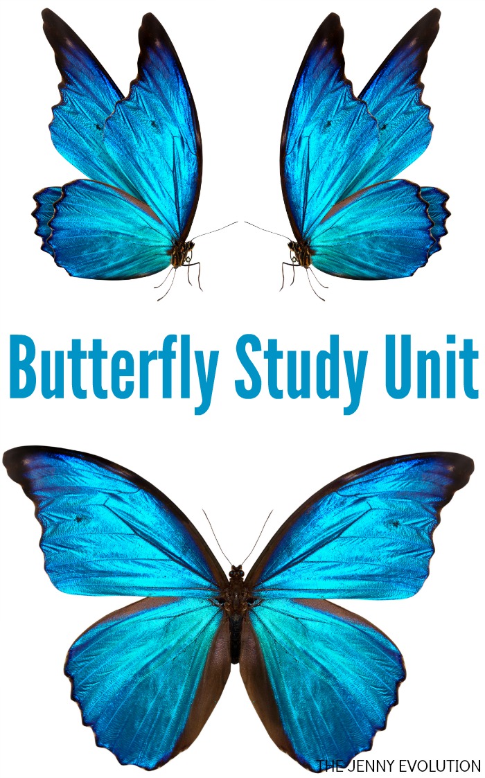 Butterfly Study Unit
