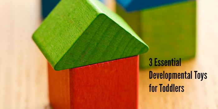 3 Essential Developmental Toys for Toddlers