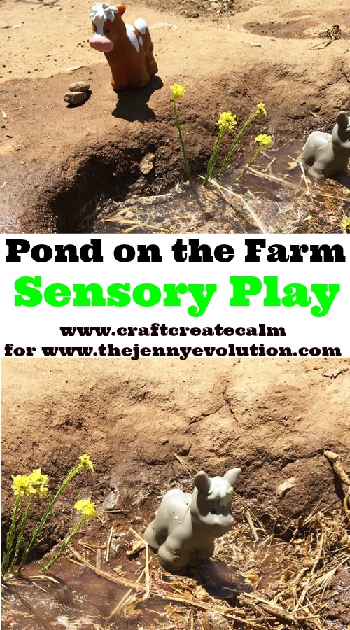 Pond Farm Sensory Play - A Built in Sensory Bin from Nature!