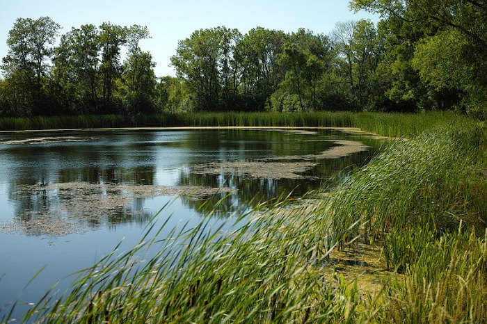 Greenbelt Pond