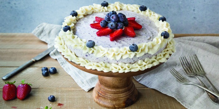 Blueberry Vanilla Ice Cream Cake Recipe