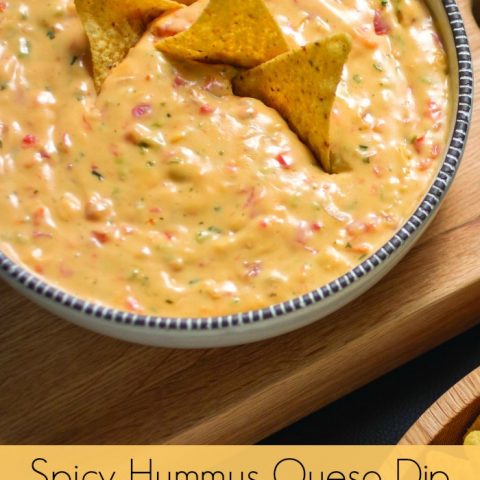 Spicy Queso Hummus Dip