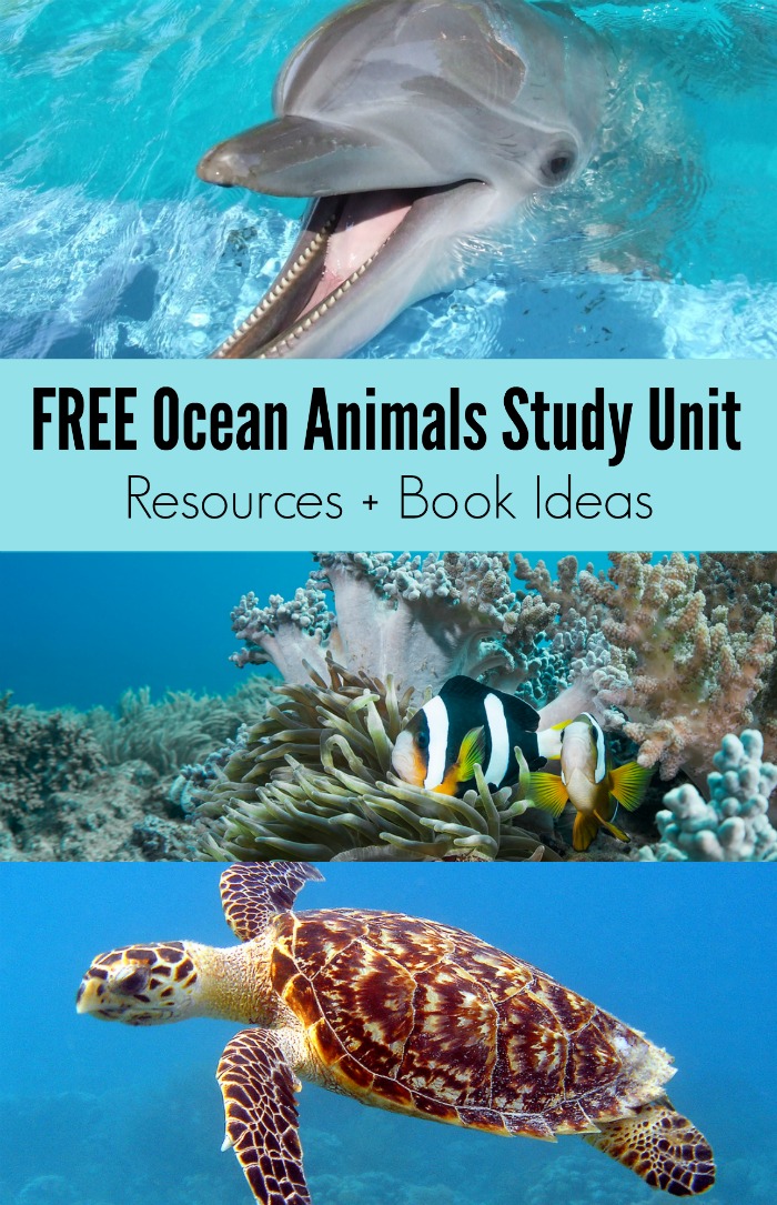 FREE Ocean Animals Study Unit Homeschool and Classroom Resources + books about sea animals recommendations