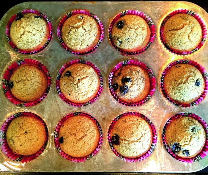 oat bran muffins in muffin tin