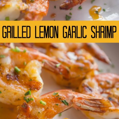 Grilled Lemon Garlic Shrimp Recipe