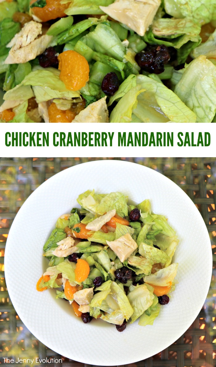 Easy Chicken Cranberry Mandarin Salad Recipe. Perfect healthy eating on those summer days you don't want to cook! | Mommy Evolution