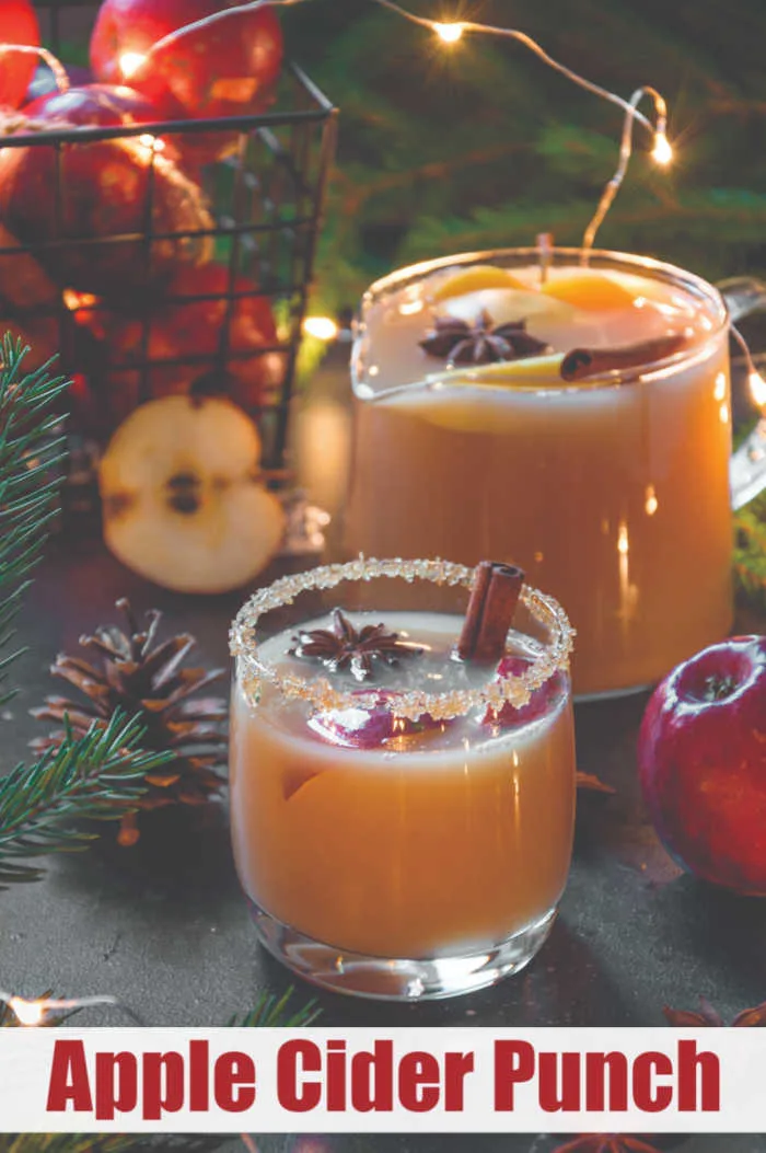 Image for Apple Cider Punch