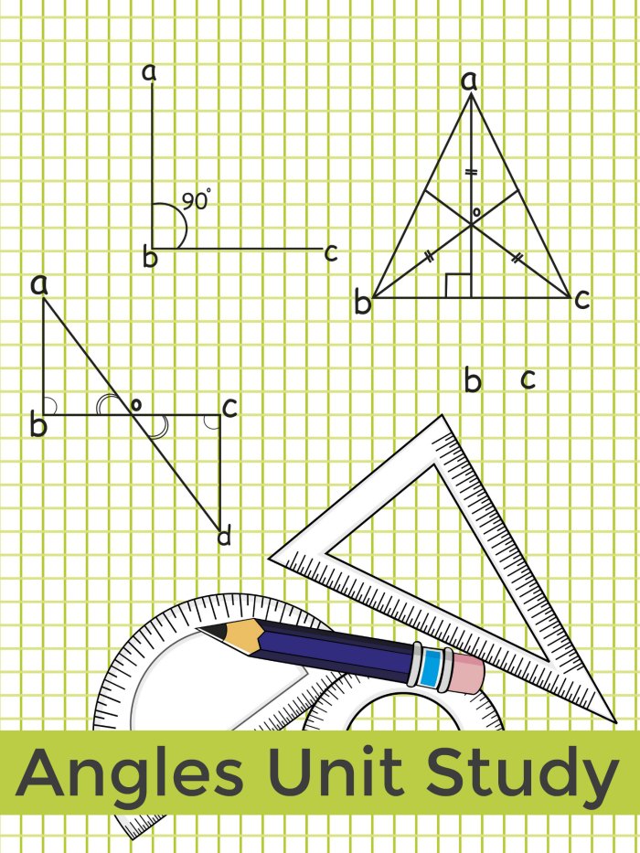Angles Unit Study Resources for Classroom, Homeschool + childrens books about angles| Mommy Evolution
