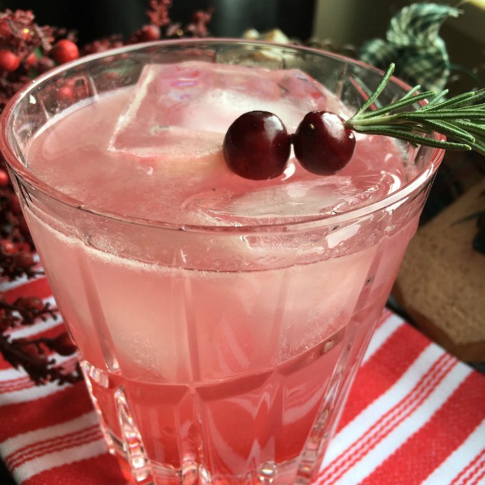 cocktail with cranberries