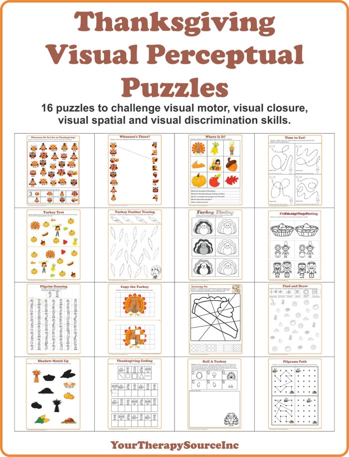Thanksgiving Visual Perceptual Puzzles
