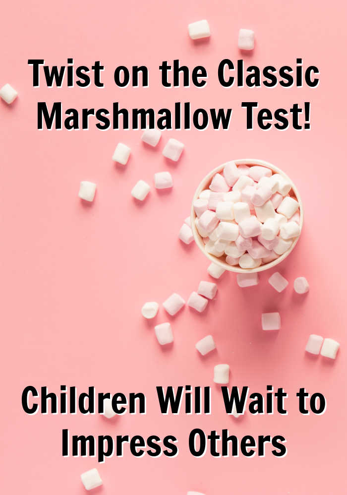 Children Will Wait to Impress Others — Another Twist on the Classic Marshmallow Test