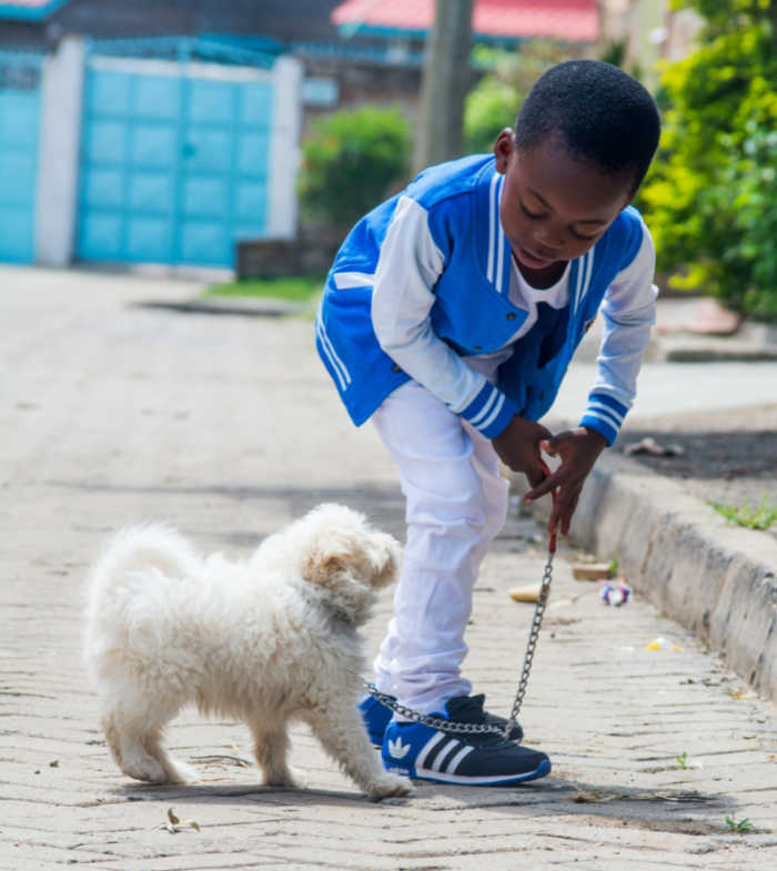 young boy walking his fluffy dog