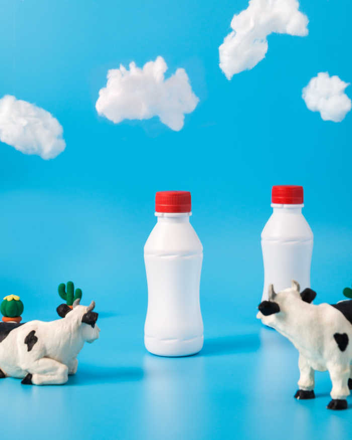 animal figurines looking at milk bottles with sky blue background