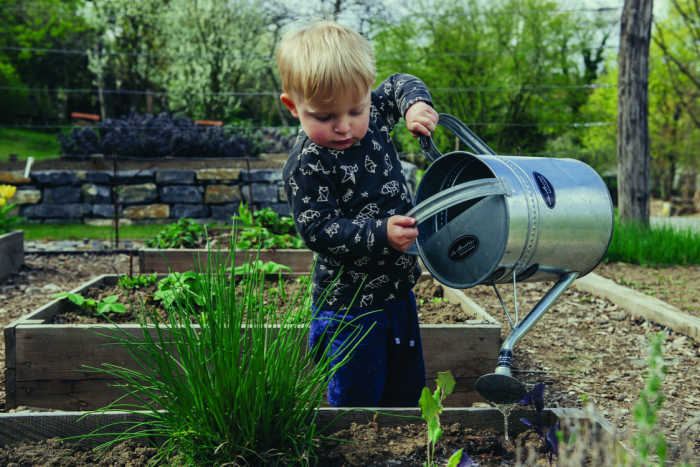 little boy with watering can in garden
