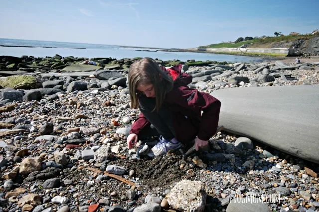 Image for Fossil Hunting with Kids | Discovering the Jurassic Coast in England