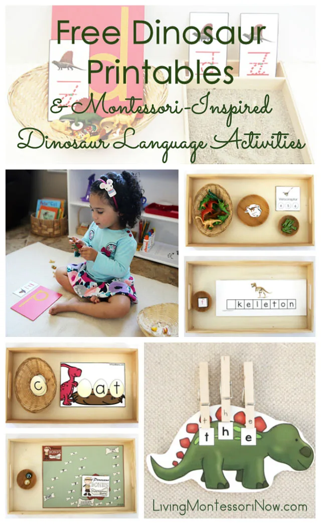 Image for Free Dinosaur Printables and Montessori-Inspired Dinosaur Language Activities