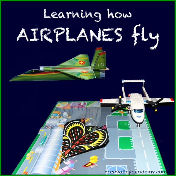 Image for Learning about Flight with Paper Airplanes