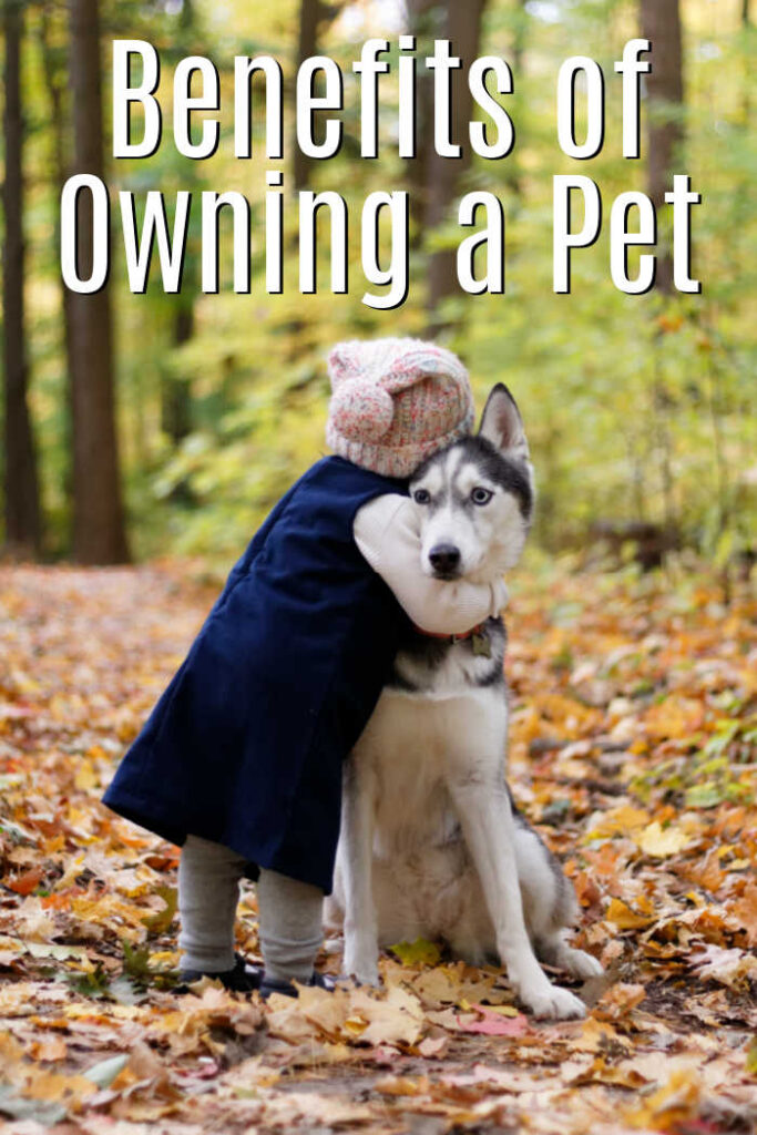 5 benefits of owning a pet