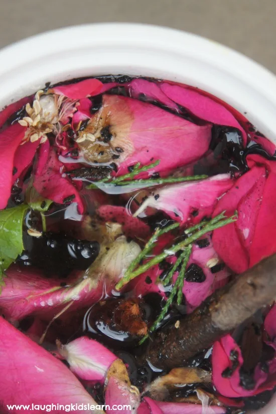 Image for Fairy Mud for outdoor and sensory play
