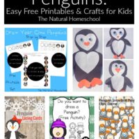 Childrens Books About Penguins | The Jenny Evolution