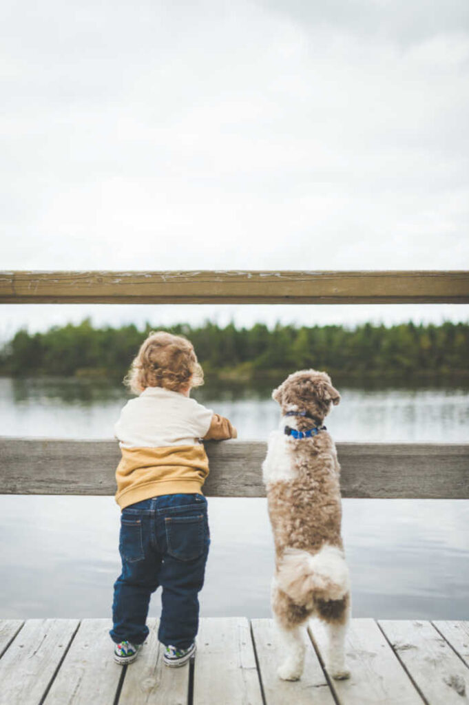 toddler and dog looking over lake
