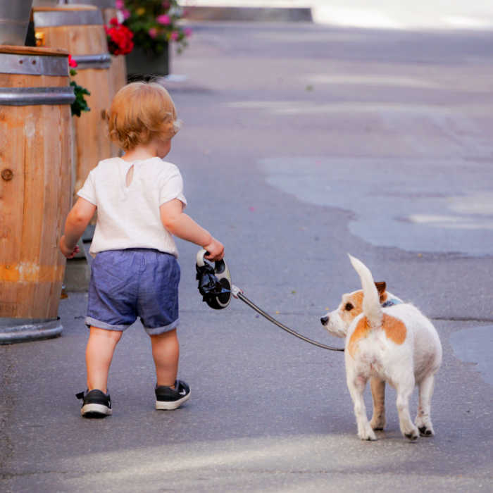 toddler walking little dog on leash - benefits of owning a pet teaching responsibility early on